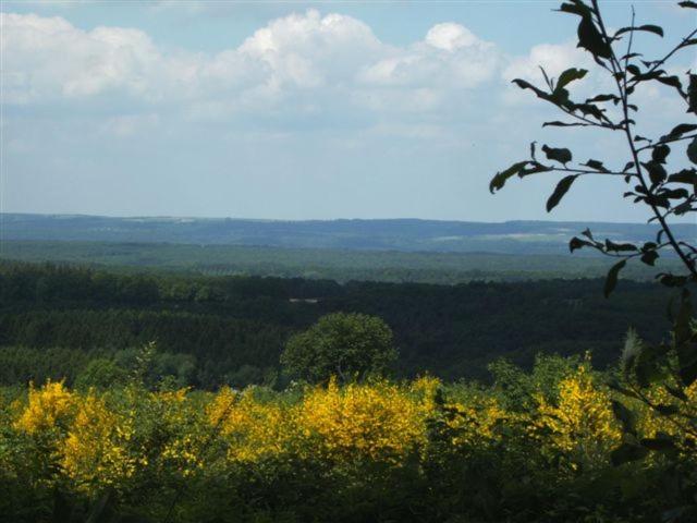 Appartement Ideal Pres De Durbuy / Ideaal Appartement Nabij Durbuy / Ideal Apartment Near Durbuy Хотон Екстериор снимка